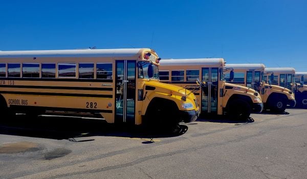 Row of buses in parking lot