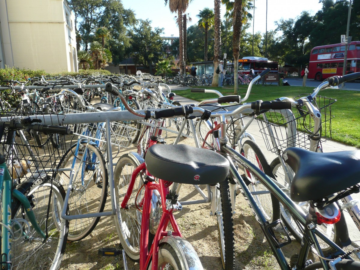 What a Bike-Crazy California Town Can Teach Us About Car 