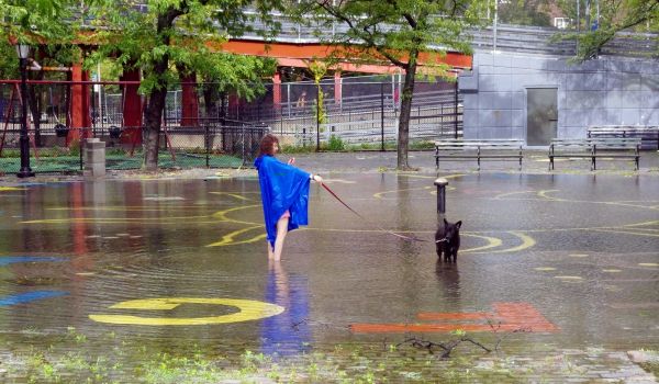 Woman walking her dog in a flooded park in New York