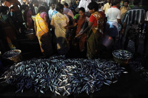 For Kasimedu's Women, Selling Fish Is More Than Just a Livelihood