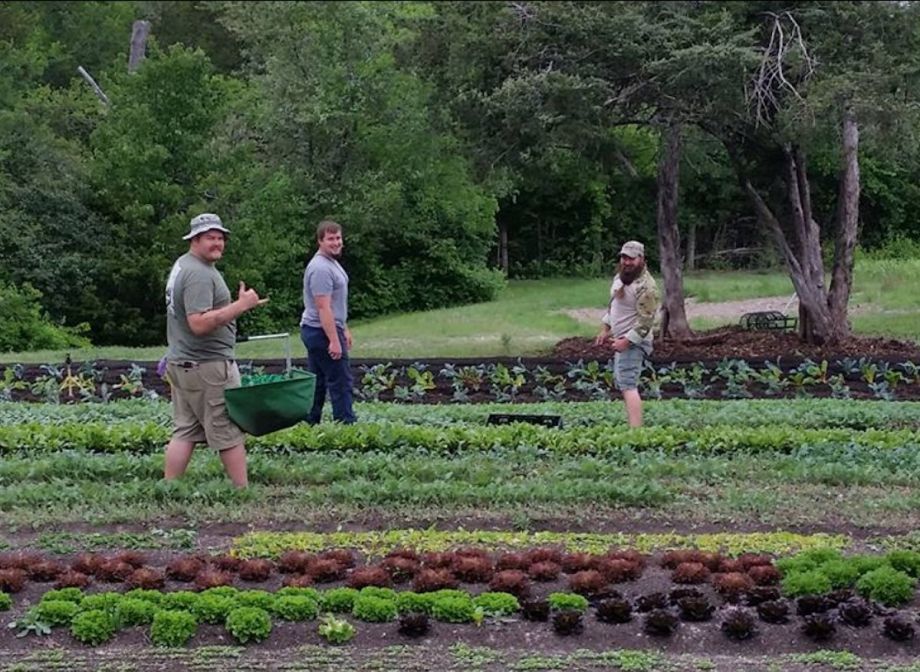 Urban Farmers Create Healing Space For Dallas Veterans Next City