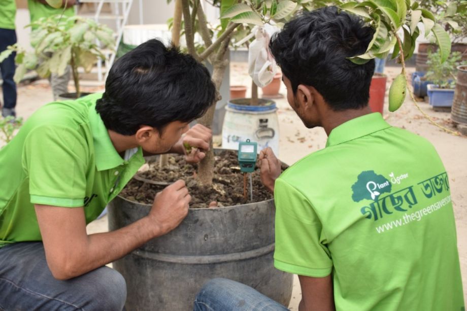 Two young men checking on their rooftop garden plant