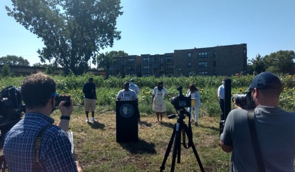 Southside Blooms sunflower farm grand opening