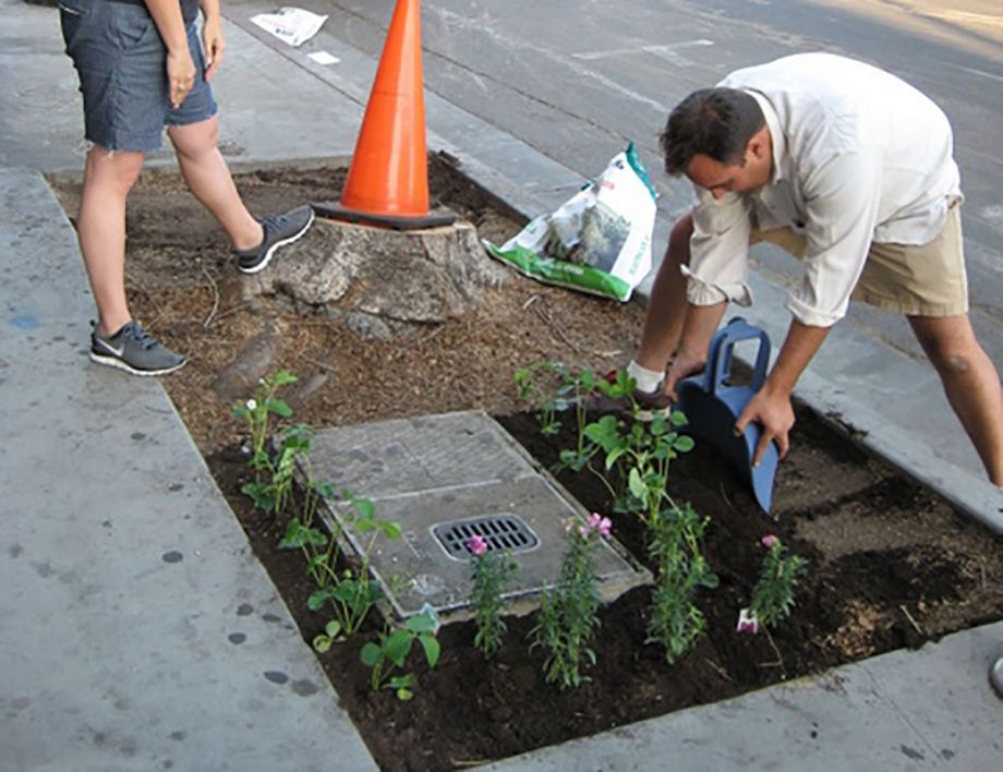 Guerrilla Gardener Inspires New L A Ordinance Next City