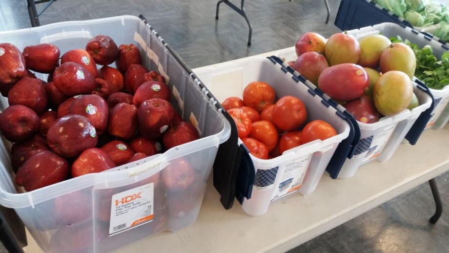 Fresh produce at the APM food buying club in Philadelphia
