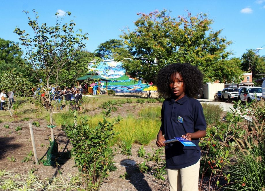 A vacant lot in West Philadelphia, at 55th and Hunter streets, gets a fence, gazebo, and rain-garden makeover, plus a new mural that depicts typical aquatic life of the Schuylkill River. 