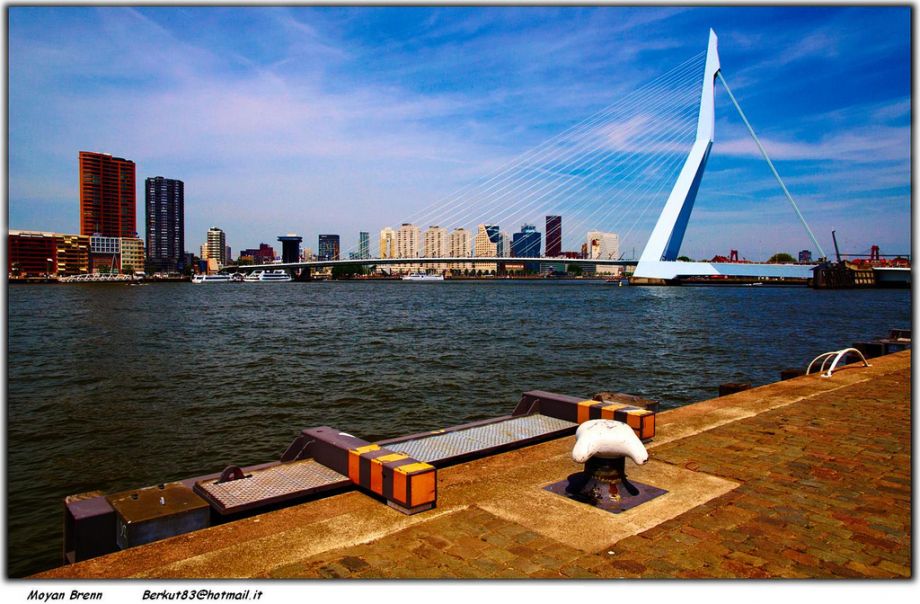 Dutch Water Sector cover image