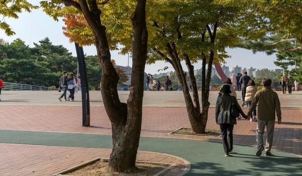 Several couples and groups of people walk in a park, where there are trees.