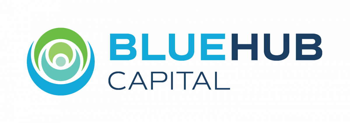 BlueHub Capital