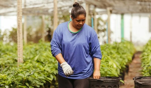 Urban farmer in a greenhouse